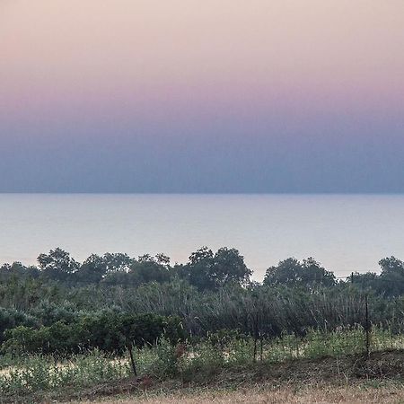 Episkopi-Chania Villa Manoutsio מראה חיצוני תמונה