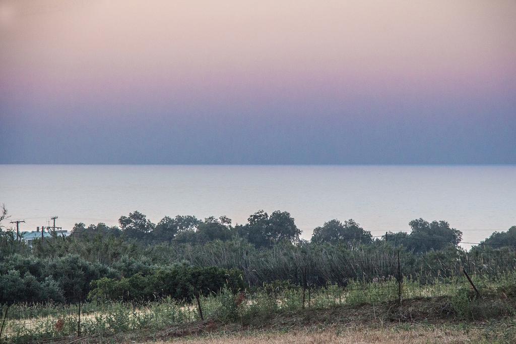 Episkopi-Chania Villa Manoutsio מראה חיצוני תמונה